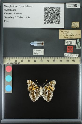 Media type: image;   Entomology 16610